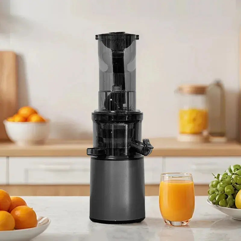 2L Stainless Steel Slow Juicer Commercial Automatic Juice Extractor with Pulp Separation Large Mouth Kitchen Outlet Store Home