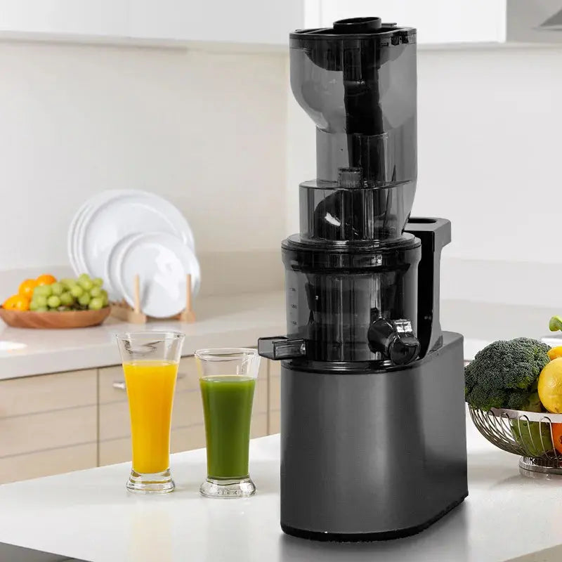 2L Stainless Steel Slow Juicer Commercial Automatic Juice Extractor with Pulp Separation Large Mouth Kitchen Outlet Store Home