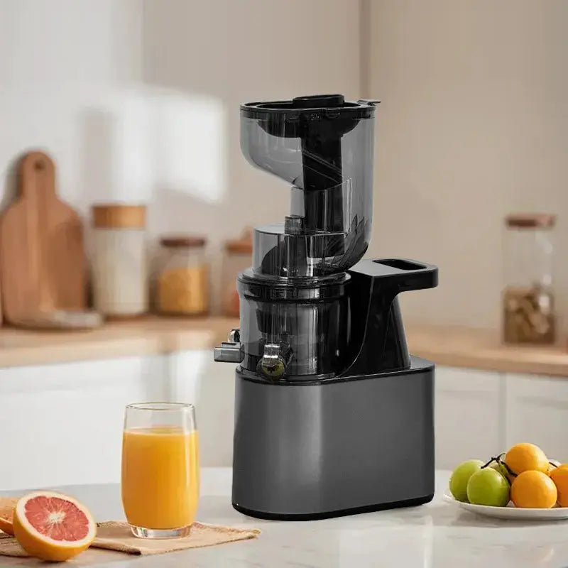 2L Stainless Steel Slow Juicer Commercial Automatic Juice Extractor with Pulp Separation Large Mouth Kitchen Outlet Store Home